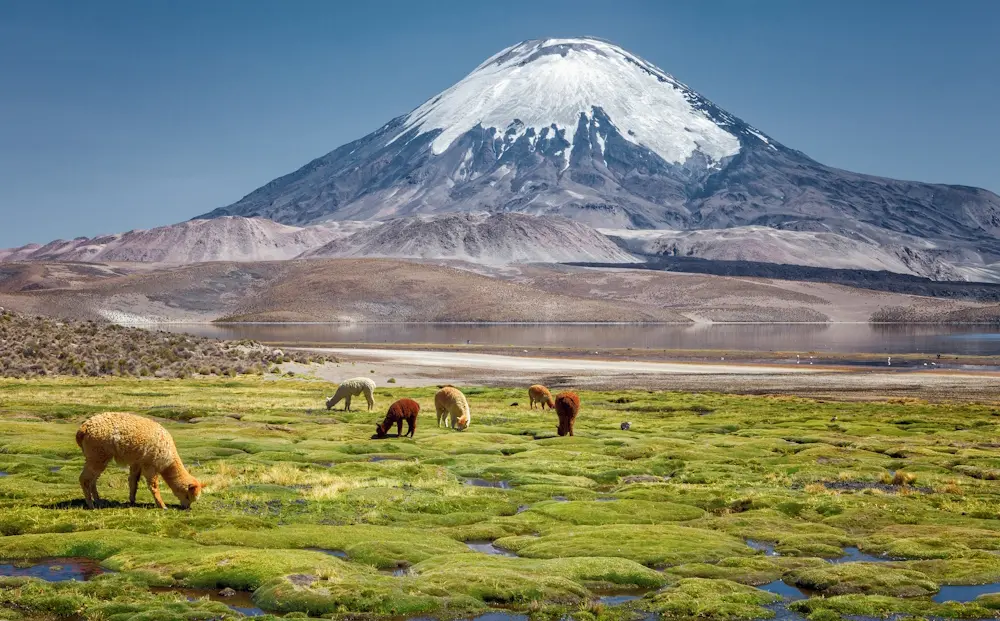 Lake Chungara Parinacota Volcano - Atacama altiplano Chile